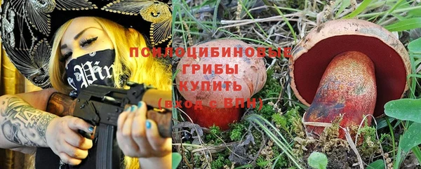 твердый Алзамай