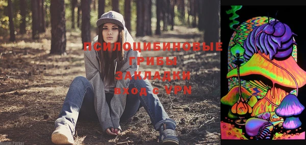 бошки Алексеевка