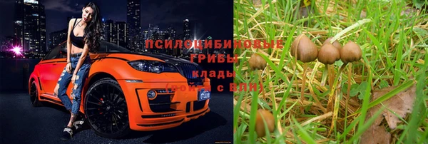 бошки Алексеевка
