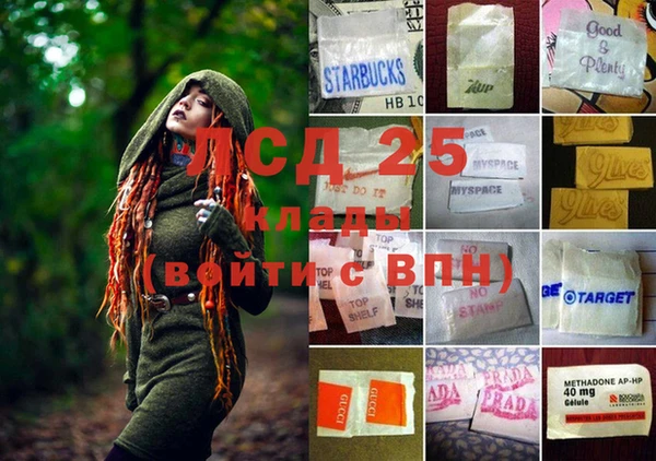 твердый Алзамай
